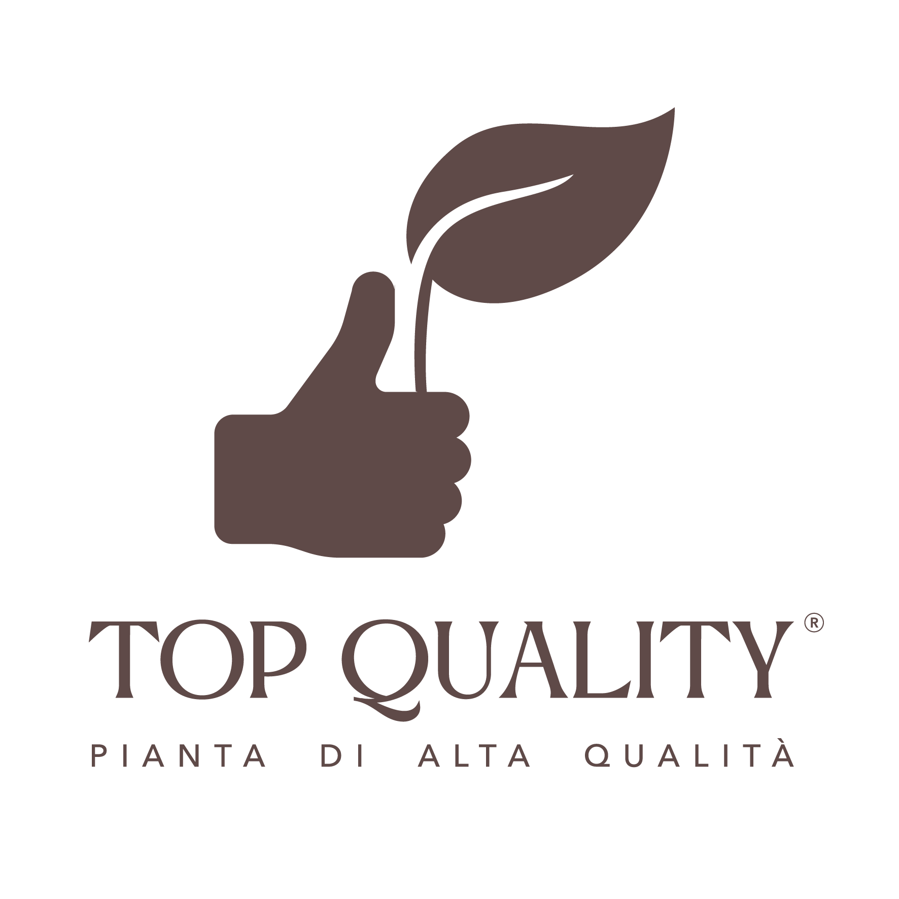 Logo TopQuality